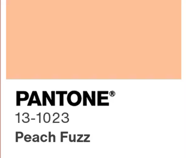 Radiant Warmth: Embracing Peach Fuzz - The 2024 Pantone Color of the Year,Tara Bittl