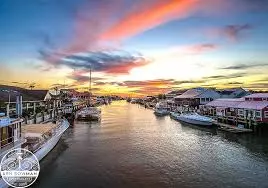Savoring the Flavors of Shem Creek, Mount Pleasant, SC: A Culinary Journey by the Waterfront,Tara Bittl