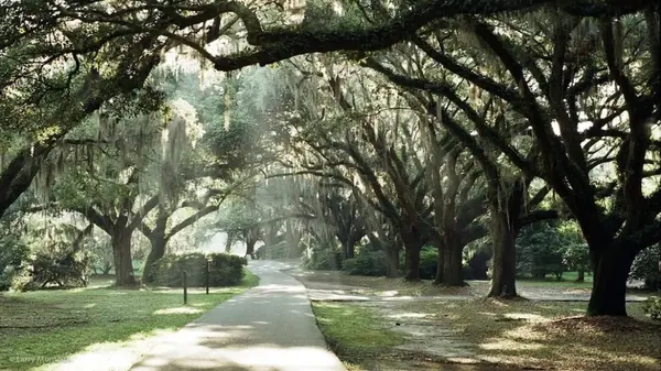 Step into Nature: Exploring Mount Pleasant, SC's Best Parks and Trails for Walking and Running,Tara Bittl