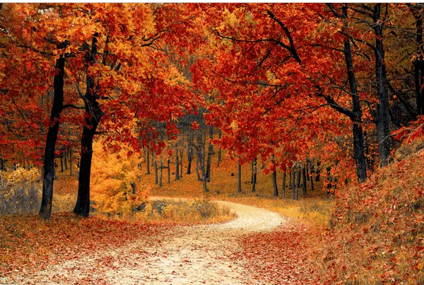 4 Fall Trends This Year,Jennifer Hollister
