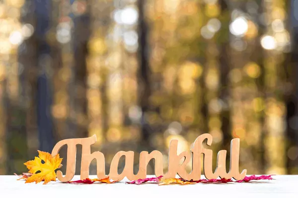 The Power of Thankfulness,Jennifer Hollister