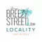 Logo2024_TeamBreezyStreet_palm