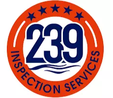 239 Inspections