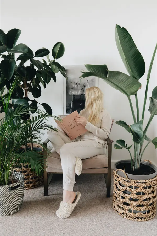 Bringing Nature Inside: A Guide to Low-Maintenance Indoor Plants,Tara Bittl