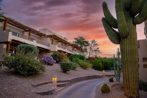 arizona resort with cactus and sunset (1)