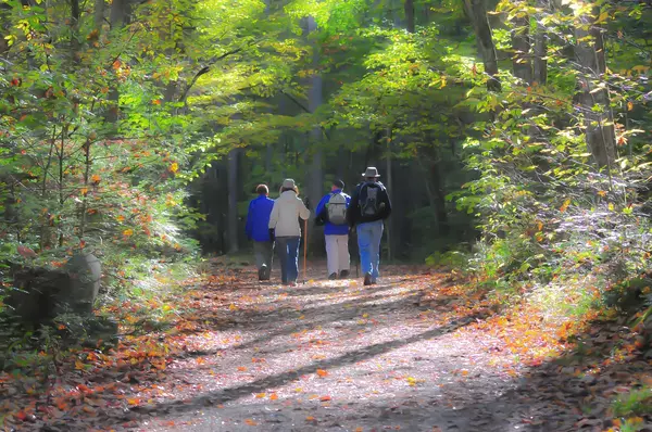 Conquering the Smokies with Tiny Explorers: Family-Friendly Hikes & Activities,Ken Herod