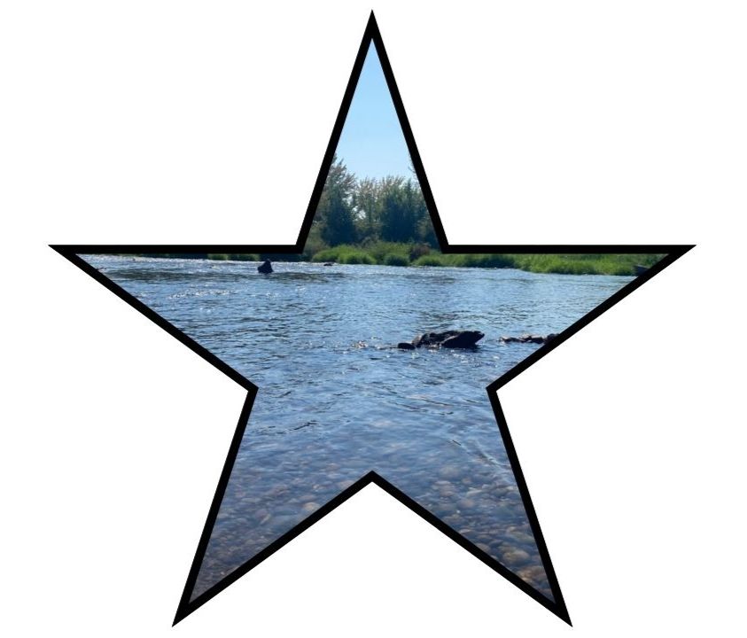 Click the Star to see all the New Businesses