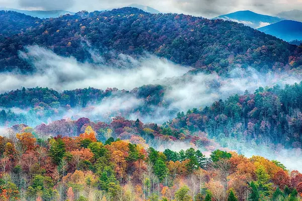 Why Should I Invest in the Smoky Mountains?,Tyler Coon