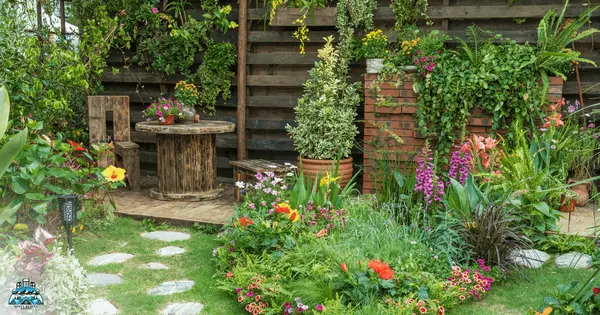 Revitalize Your Garden,Matt Giove