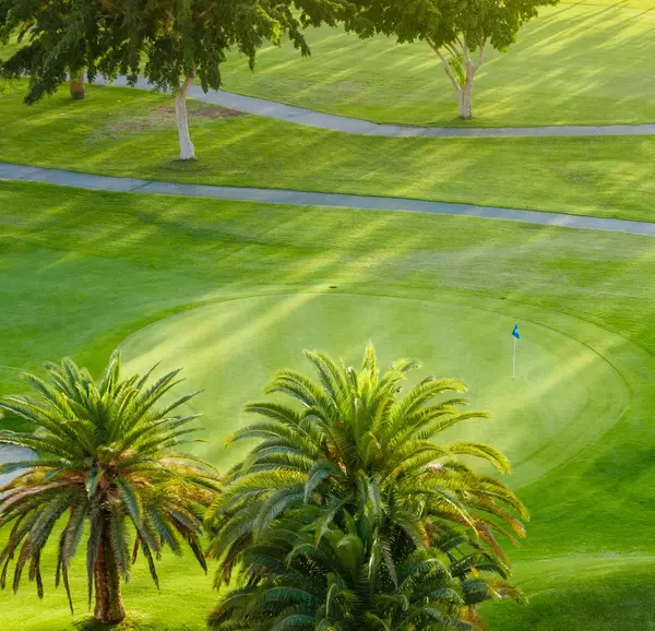 Golf Course - Palm Beach