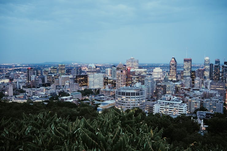 Lower Mount Royal Magic