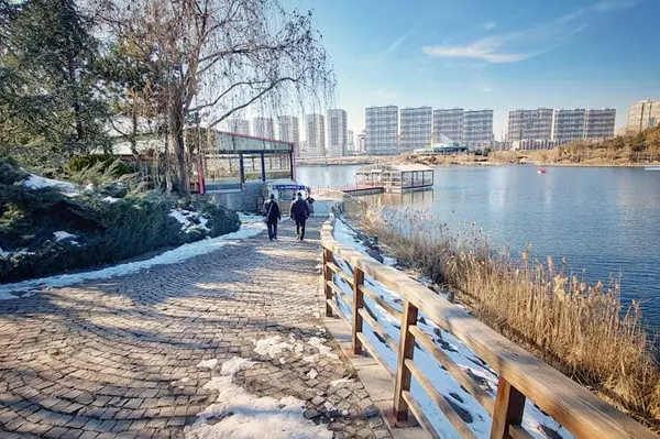 Discover the Charms of Hillhurst: 6 Perks of Living Near Riley Park [2024],Ahsan Ashraf