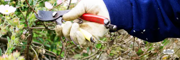 5 Tips to Get Ready for Spring,Realty Execs Admin