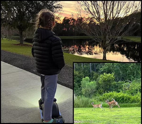 Bexley-Pond-Sunset-Deer-1