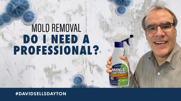 Mold Removal, Do You Need a Professional?,David Campbell