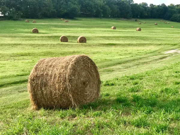 Thompsons Station, Tennessee: Your Ultimate Relocation Guide,Chris O'Neal