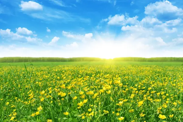 Spring is Here!!,EXIT REALTY 4CORNERS