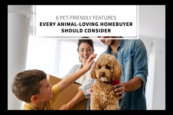 6 Pet-Friendly Features Every Animal-Loving Homebuyer Should Consider,Lucido Global