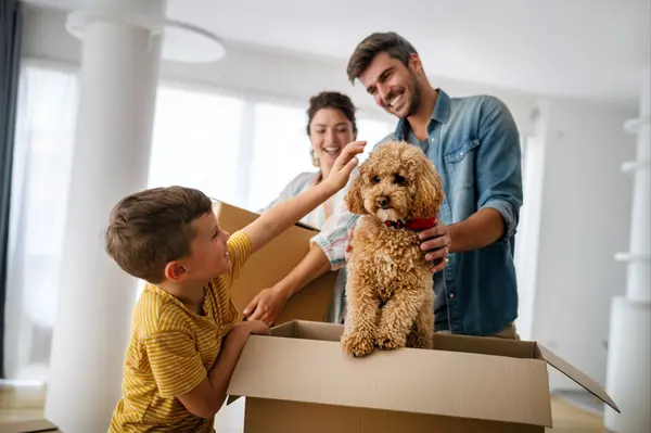 6 Pet-Friendly Features Every Animal-Loving Homebuyer Should Consider,Ken And Susan Rosengren
