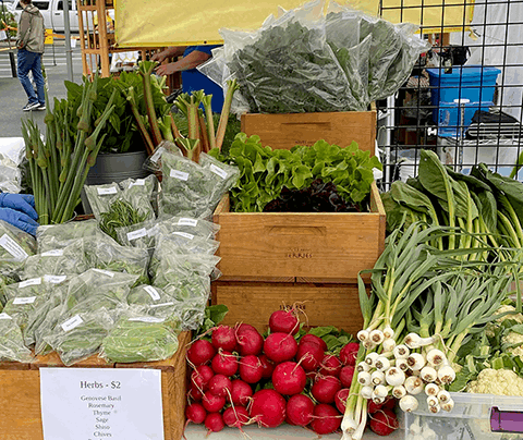 Cedar Mill Farmers Market Update! ,Lee Davies