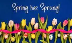 Your Living Space This Spring: 10 Advanced Strategies for Renewal,Ken And Susan Rosengren