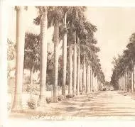 Fort Myers Fun Facts and Historical Highlights: Unveiling the Past and Present,Billee Silva, PA, ABR SRS