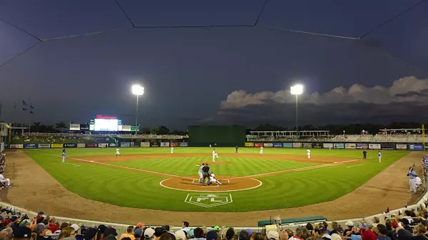 A Home Run Legacy: The History of Baseball and Spring Training in Fort Myers,Billee Silva, PA, ABR SRS