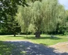 What is Adverse possession?,Lori Lincoln