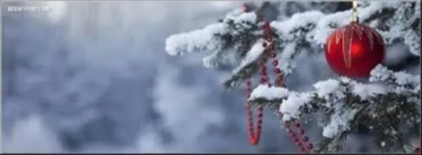 5 Tips to Selling Your Home During the Holidays, Southern Signature Properties