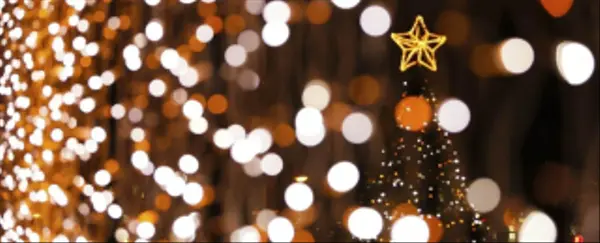 Don’t Miss These Holiday Events in the Triad, Southern Signature Properties