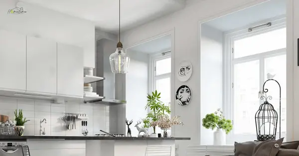 Transforming Your Space,Megan Denham