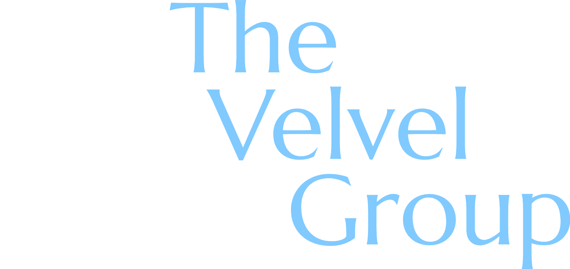 The Velvel Group