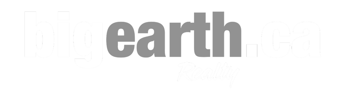 Real Estate - Blake King - Big Earth Realty