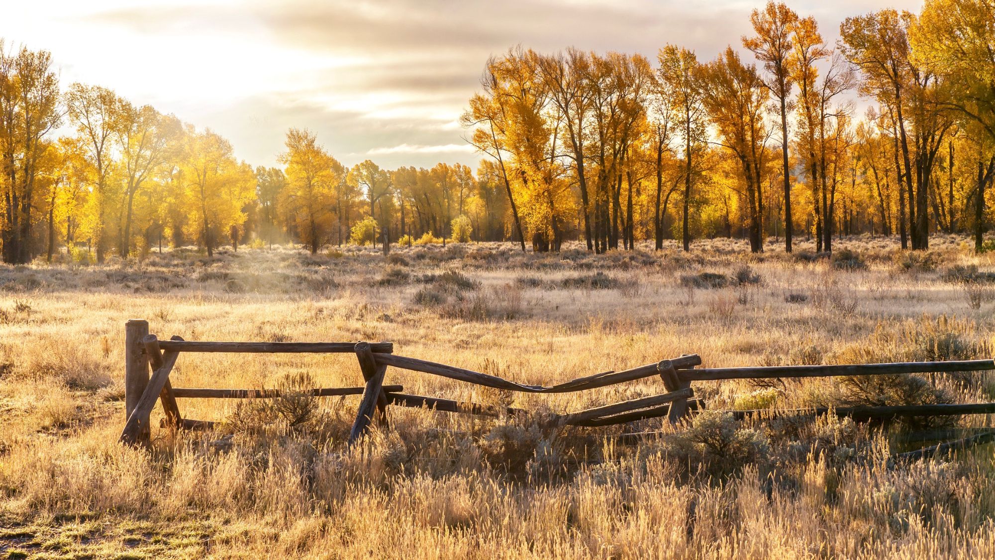 Dubois Wyoming Real Estate Judy Rogers 