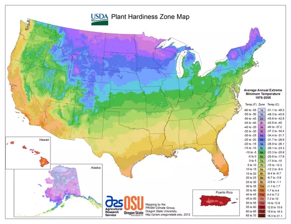 4 Quick Tips to Prep your Garden for Spring