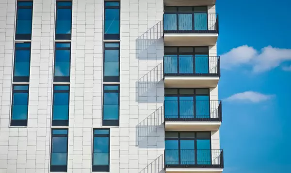 The Impact of COVID-19 on the Real Estate Market: Trends and Adaptations,Danielle Witte