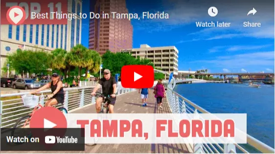 feature image of Best Things To Do in Tampa Bay, FL!