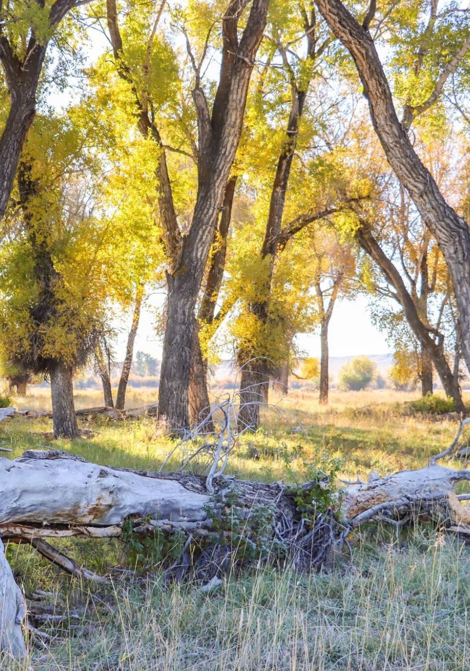 Boulder Wyoming Real Estate Heather Perry