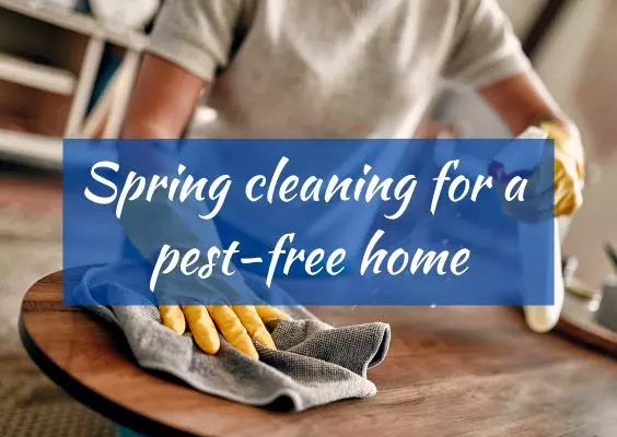 feature image of April 2024 Newsletter - Spring Cleaning For A Pest-Free Home