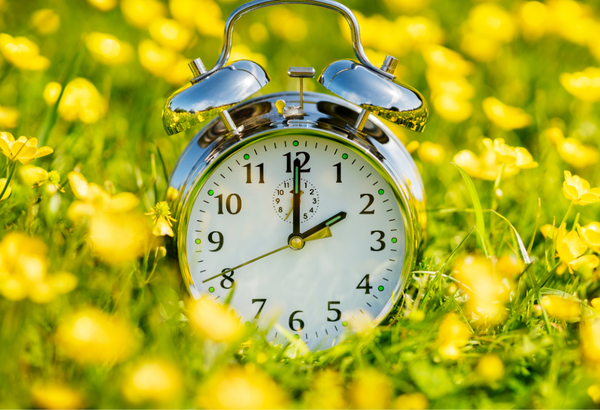 Why Spring Might Be The Ideal Time To Buy A House ,Luxe Omni