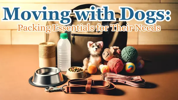 Moving with Dogs: Packing Essentials for Their Needs,Joe Bryan