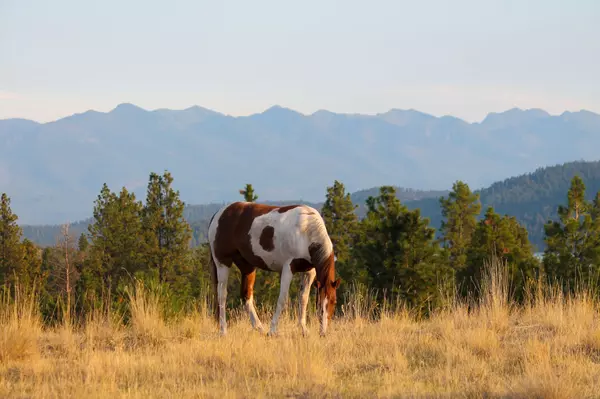 Why Buy In Montana?