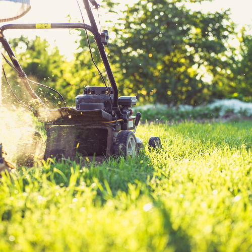 How much should you spend on a lawn mower?