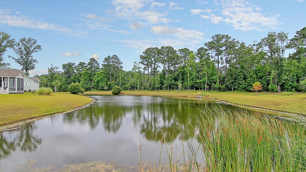 neighborhood pond carolina park mt pleasant sc