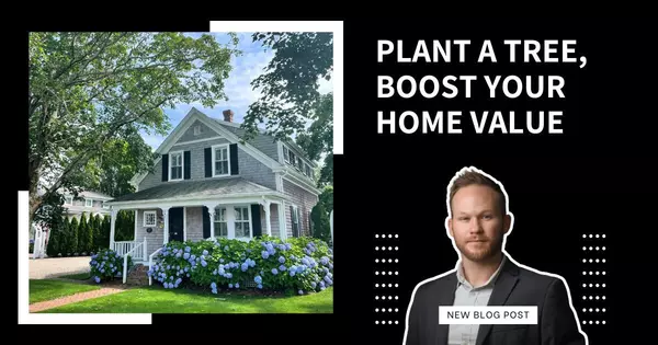 Plant a Tree, Boost Your Home Value