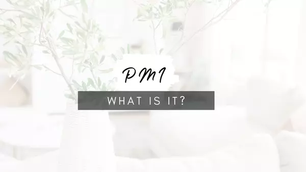 What is PMI? ,Ashley Brockman