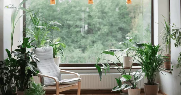 Sustainable Home Maintenance Tips for Every Homeowner,Megan Denham