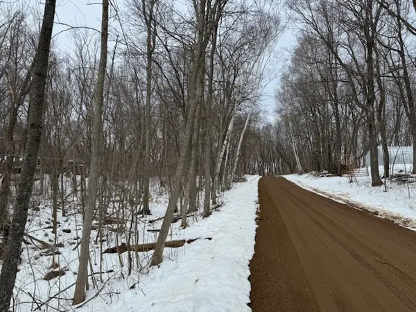 Wooded 0.325 Acre Lot Near Mille Lacs Lake,Chuck Carstensen