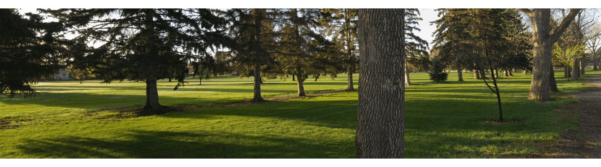 Tautphaus Park and Zoo