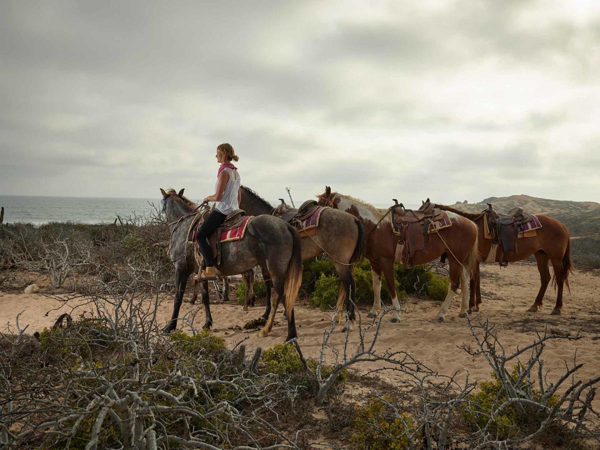 Rancho Las Margaritas View